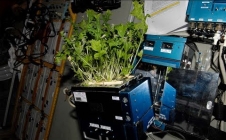 Produire de la nourriture dans l'espace : c'est pour demain ?